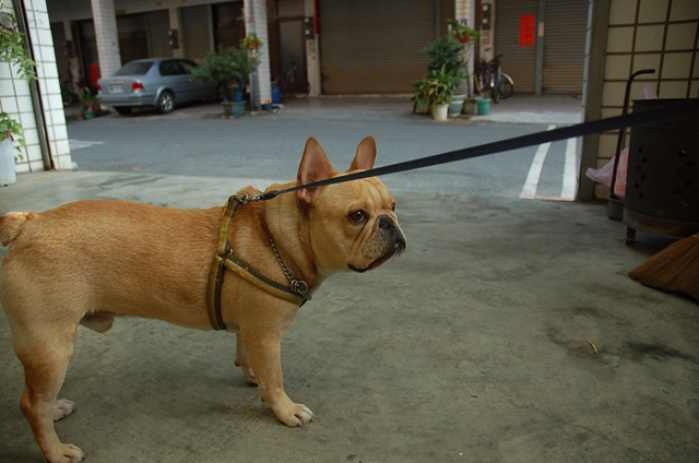[DSC_0103[3].jpg]